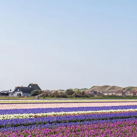 Сasa de vacaciones Pakhuys - Groepsaccommodatie - Julianadorp Aan Zee